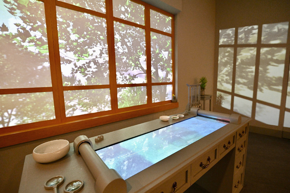 HKMoA Xie Zhiliu and Chen Peiqiu